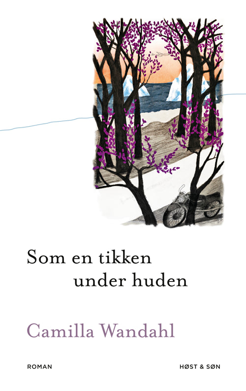 Forside billede